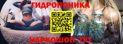 тгк Ижевск