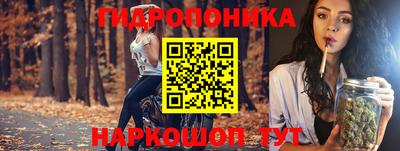 гашик Иваново