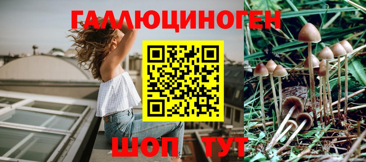 Галлюциногенные грибы Psilocybe  Вход с VPN  Волгоград  Псилоцибиновые грибы мухоморы 