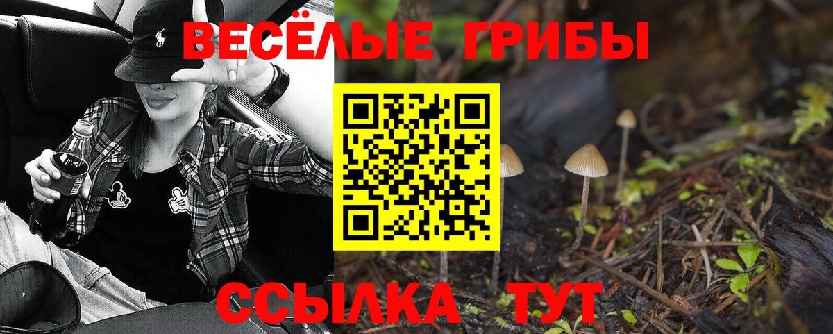 Псилоцибиновые грибы Psilocybine cubensis Волгоград